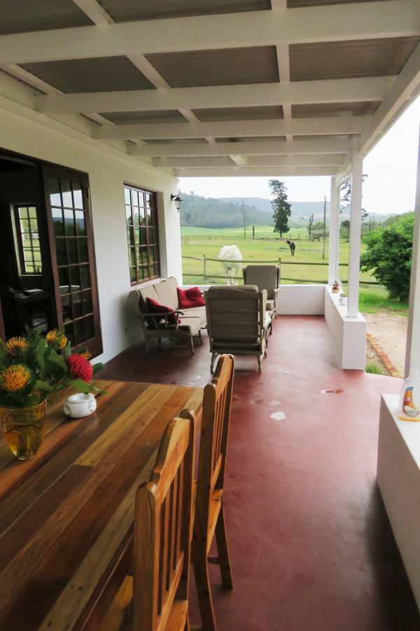 Out Of Plett Villa Plettenberg Bay Ngoại thất bức ảnh